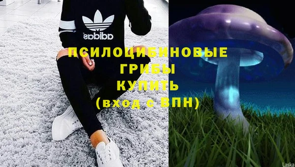 мескалин Аркадак