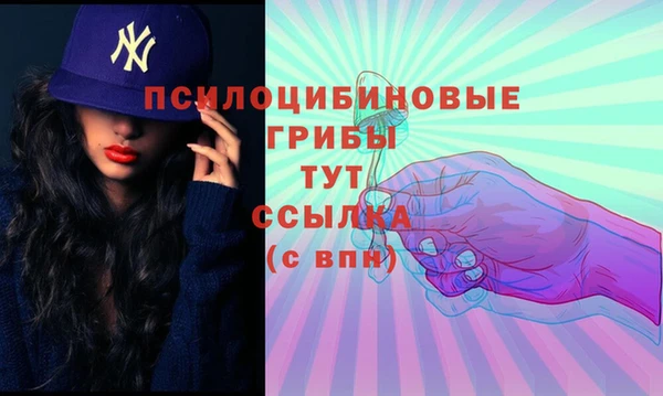 хмурый Армянск